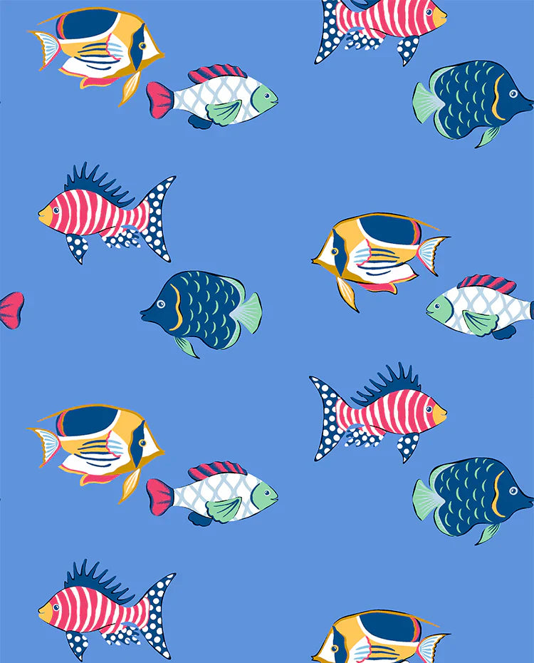 Here Fishy Fishy