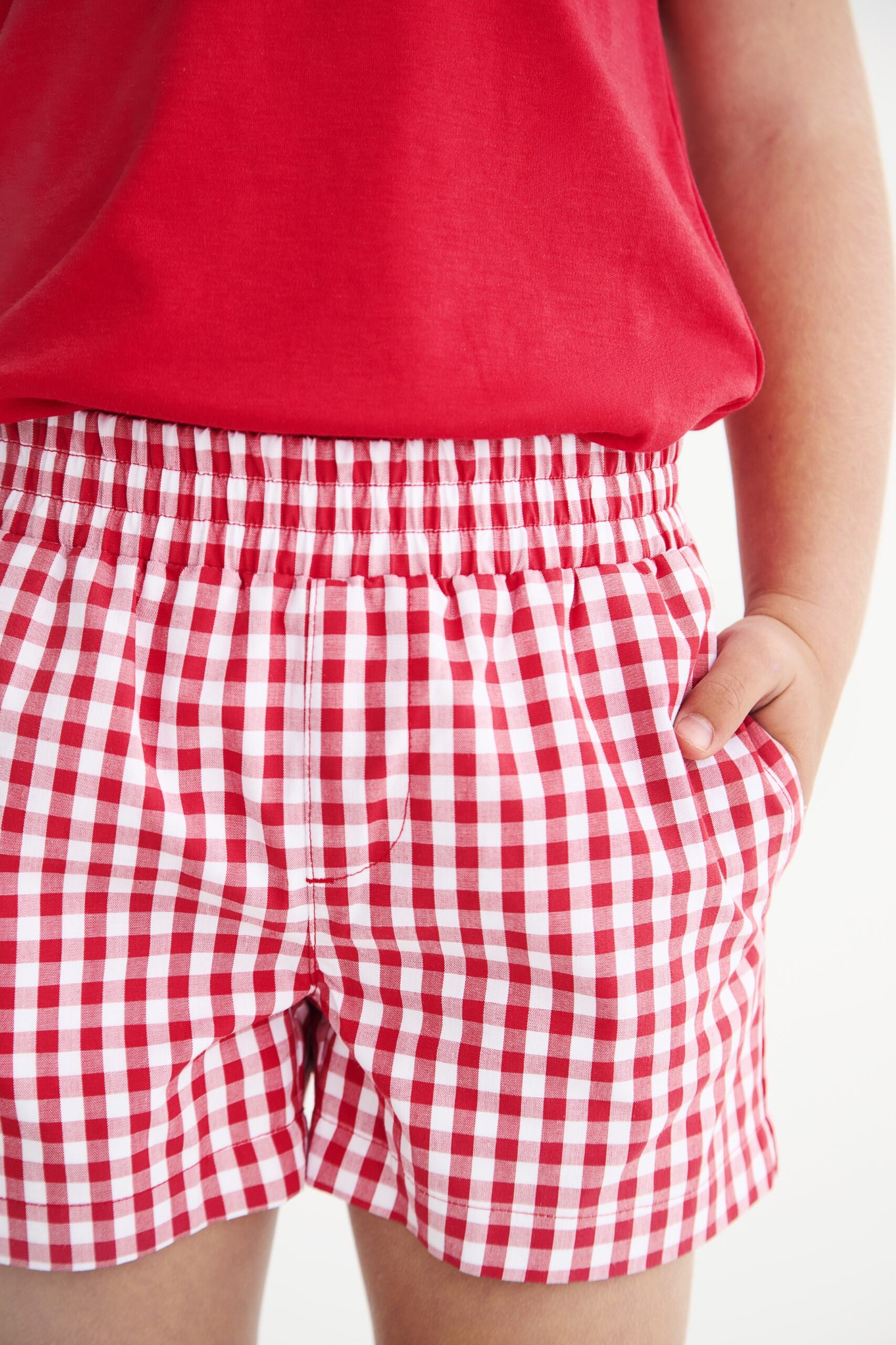 Sheffield Shorts - Richmond Red Gingham/ Belhaven Blue
